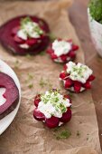Pumpernickel canapés with flower-shaped beetroot, cream cheese and cress