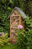 Insektenhaus im Garten mit Phloxblüte