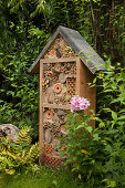 Insect hotel and flowering phlox in garden