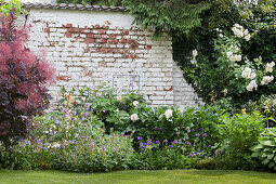 Flowering bushes and perennials in front of brick wall with peeling white paint