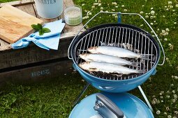 Herring being grilled