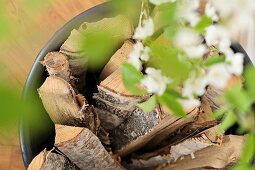 Bucket of logs seen through blurred leafy branch