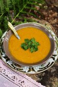 Pumpkin soup with coriander