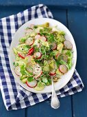 A salad with cucumber, radishes, dill and bean sprouts