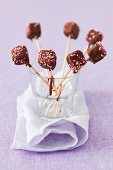 Fruit jelly lollies with chocolate glaze