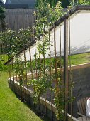 Garten mit tiefergelegtem Bereich, davor Sonnenschutzsegel mit Holzrahmen, seitlich Kletterpflanzen auf Rankstäben