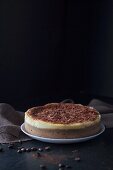 Tiramisu cheesecake with chocolate curls