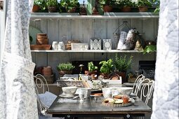 Blick auf Frühstückstisch in sonnenbeschienenem Gewächshaus, vor Regal mit Kräutertöpfen und Gartenutensilien