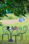 Curved metal table and chairs below lanterns hung in chestnut tree