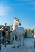 White horse hitched to fence on wooden boardwalk