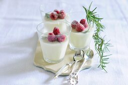 Panna cotta with raspberries and rosemary