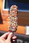 A hand holding an ice cream stick covered with colourful sugar sprinkles at a food truck festival in California, USA