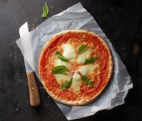 A tomato, mozzarella and basil pizza on a piece of paper with a knife