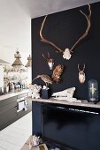 Schwarz getönte Wand mit teilweise aufgehängten Tiertrophäen und ausgestopften Vögeln, seitlich raumhoher Durchgang mit Blick in die Küche