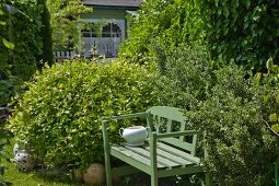 Grün lackierte Holzbank zwischen Büschen in sommerlichem Garten