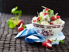 Mixed leaf salad with radishes and a youghurt dressing