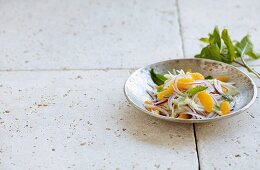 Orange and fennel salad with red onions