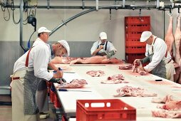 Pig carcasses being butchered in a slaughterhouse