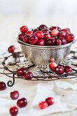 Cranberries in Metallschale auf Abkühlgitter