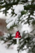 Toadstool Christmas bauble hanging from snowy fir branch
