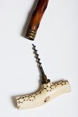 A corkscrew inside a rose wood walking stick with a horn handle and an intarsia insect, early 20th century (Von Kunow collection)
