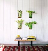 Green plants hung on wooden wall