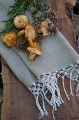 Wild mushrooms and herbs lying on linen napkins with macrame trim