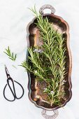 Fresh rosemary sprigs with flowers (seen from above)