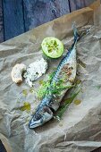 Grilled mackerel with remoulade and chervil flowers