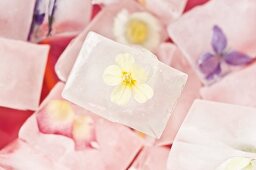 Ice cubes containing frozen flowers