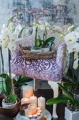 White orchids and candles around and on armchair with purple upholstery