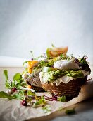 Toasted rye bread with an avocado spread and a poached egg
