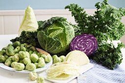 An arrangement of various cabbages