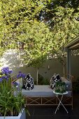 Vintage couch with elegant cushions amongst plants on summery terrace