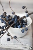 A sprig of sloes over a bowl