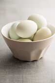 Hens eggs with green shells in a porcelain bowl