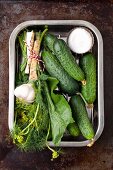 Ingredients for sour cucumbers: cucumbers, garlic, horseradish roots and leaves, dill and salt
