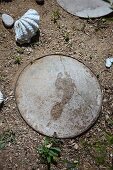 Wet footprint on path stepping stone next to large seashell in garden