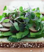 An open sandwich with vegetables, mushrooms and cheese