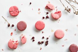 Pink and purple macaroons (seen from above)