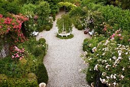 Blick auf Kiesweg zwischen prachtvollen Rosen und Gehölzbepflanzung in parkähnlichem Garten