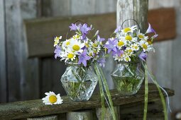Romantische Wiesensträusschen aus Glockenblumen, Margeriten und Kamillenblüten in Glasvasen