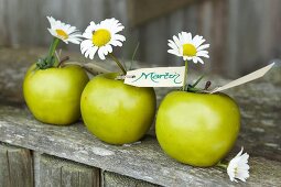 Green apples with ox-eye daisies and name cards for decorating a dining table