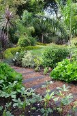 Gartenweg aus alten Eisenbahnschwellen & Kies in dicht bepflanztem Garten mit Palmen