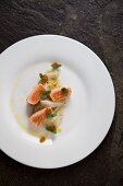 Flash fried salmon on a bed of chicory (seen from above)