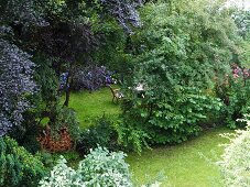 Seating area behind bushes in idyllic garden