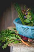 Young vegetables and herbs on an old wooden table