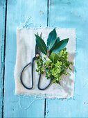 Thyme, bay leaves and a pair of herb scissors on a light blue wooden surface