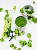 Fresh spinach soup surrounded by celery, spring onions and blueberries