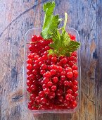 Redcurrants in a plastic punnet